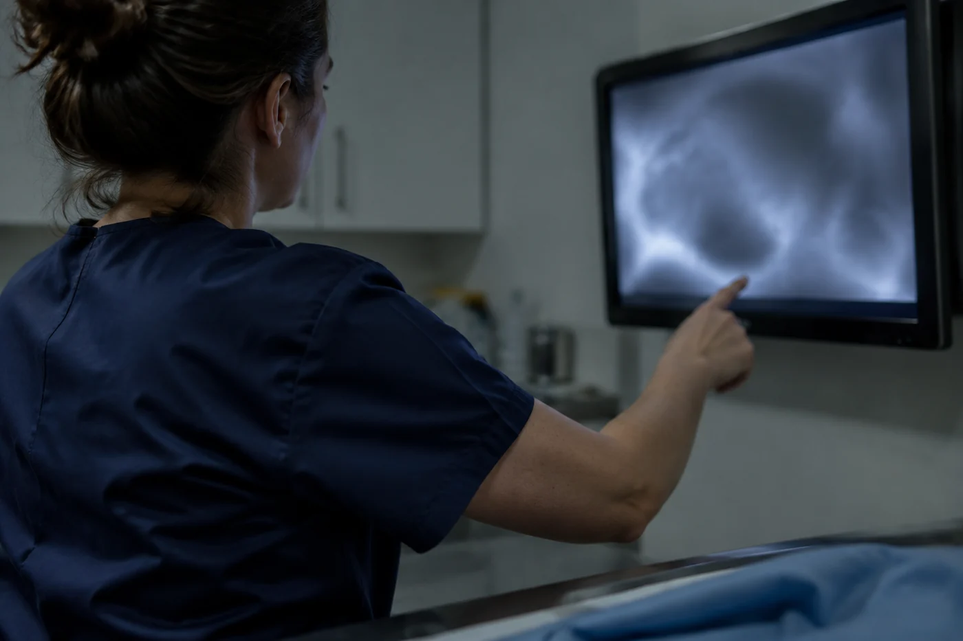 A veterinarian reading a dental radiograph on a treatment-room screen at Promontory Animal Hospital in Chilliwack, where dental X-rays find dental disease in cats